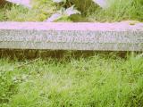 image of grave number 622534